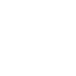 google ads management