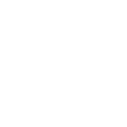 custom website development