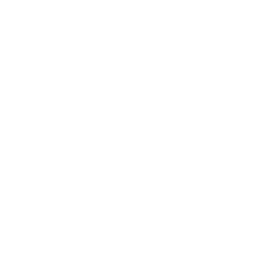 best web development agency