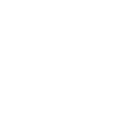 affordable web design services