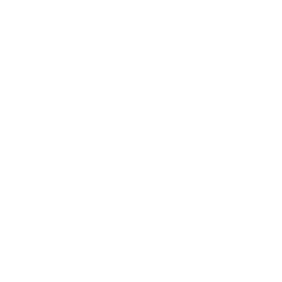 affordable seo experts