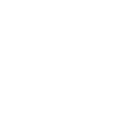 best ecommerce seo company