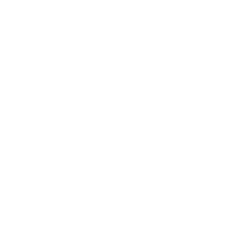 best local seo company usa