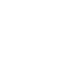 ecommerce seo agency usa