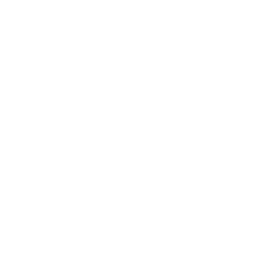 white label local seo