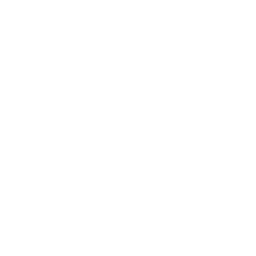 ecommerce seo agency usa