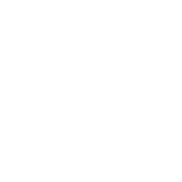 digital content experts