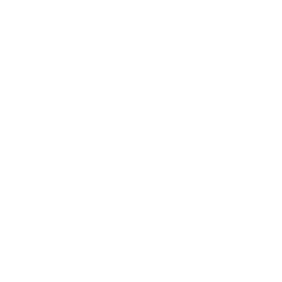 affordable web design services